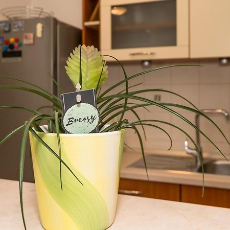 Luxury 1 Bedroom App Center&Balcony Free Parking Spalato Esterno foto